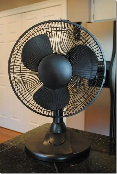Fans